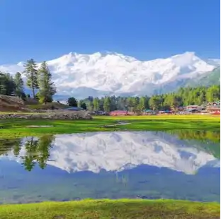 fairy meadows